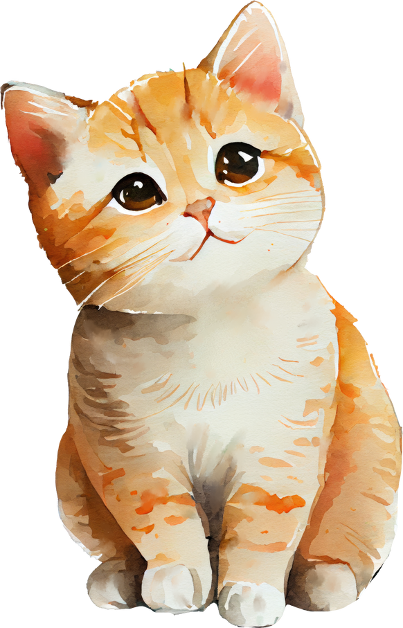 Cute Cat Illustration